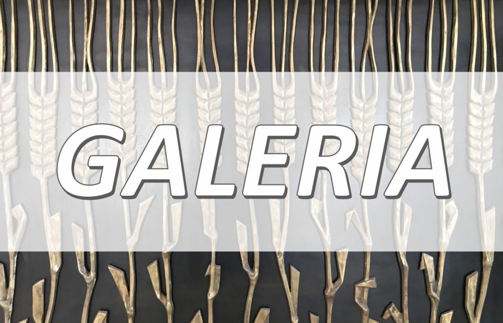 Przejdź do galerii zdjęć